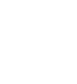 TEAM Secret
